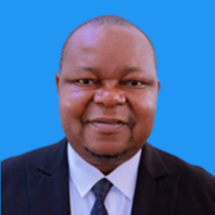 Prof. Riziki Silas Shemdoe photo